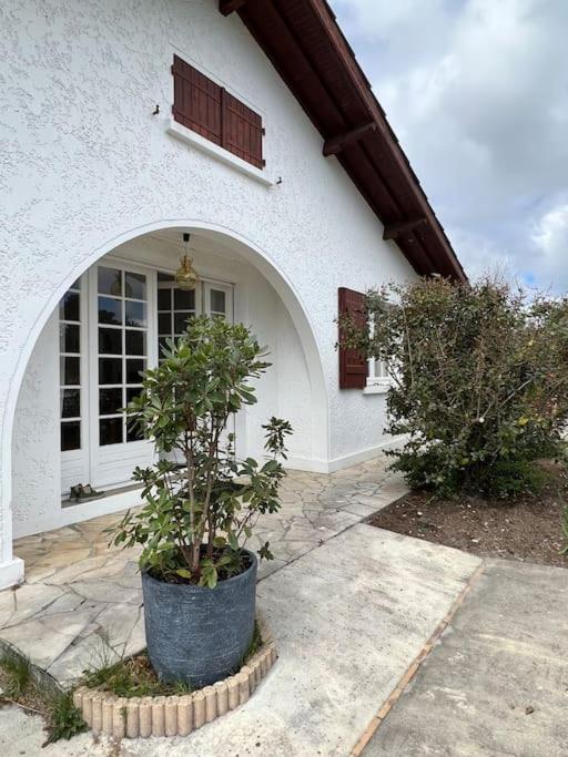 Agreable Maison Landaise Proche Du Lac سانغوينت المظهر الخارجي الصورة