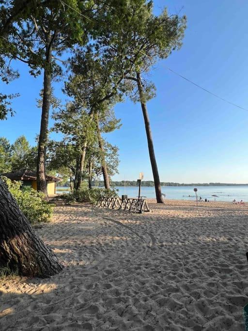 Agreable Maison Landaise Proche Du Lac سانغوينت المظهر الخارجي الصورة
